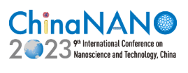 ChinaNANO 2023 Conference Logo